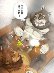 2boys 3:4 5_fingers anthro anthro_on_anthro bathtub big_penis brown_body brown_fur canid canine canis chinese_text countershade_face countershade_fur countershade_torso countershading duck duo erection felid fingers fur furry furry_only genitals glans hi_res humanoid_genitalia humanoid_penis interspecies japanese_text lion male male/male male_only mammal muscular muscular_anthro muscular_male ogami_aratsuka pantherine partially_submerged penis ross_(rossciaco) rossciaco rubber_duck smile text translation_request vein veiny_penis water wolf