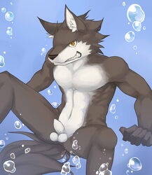 amber_eyes anthro arashi balls black_fur bubbles canine fur furry looking_at_viewer male male_only nude penis pose solo underwater water wolf