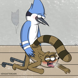 anal anal_sex avian bird blush cum furry furry_only gay interspecies male mordecai orgasm penetration regular_show rigby sex tongue veinsafterdark