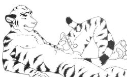 2012 anthro balls erection feline fur furry male male_only masturbation no_humans penis solo tiger tikky