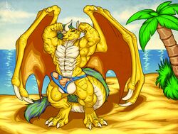 abs balls beach biceps clothing dragon erection flexing horn humanoid_penis male male_only modem_redpill palm_tree penis scalie sea seaside solo speedo swimsuit topless torn_clothing water wings yellow_dragon