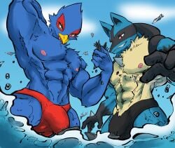 abs aircraft airplane ambiguous_gender anthro avian beak blue_body bulge canid canine clothing destruction detailed_bulge duo falco_lombardi generation_4_pokemon genital_outline hi_res jet lucario macro male mammal nintendo nipples non-mammal_nipples pecs pokemon pokemon_(species) ryeono_kemo sea ship speedo spines star_fox swimwear vehicle water watercraft