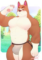 akita animal_crossing copper_(animal_crossing) furry male_only underwear