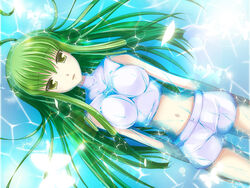 butterfly c.c. code_geass female floating green_hair kiyu long_hair midriff navel petals wallpaper water yellow_eyes