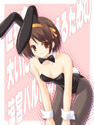 brown_hair bunny_ear bunny_girl bunnysuit cosplay kemonomimi masakichi_(crossroad) pantyhose short_hair suzumiya_haruhi suzumiya_haruhi_no_yuuutsu usamimi