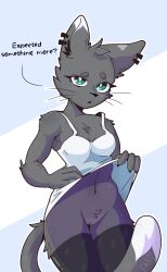 anthro cat_ears cat_tail ffand furry gray_fur green_eyes pussy stockings