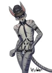 american_shorthair anthro brown_eyes chastity_cage chastity_device clothing collar domestic_cat felid feline felis fur grey_body grey_fur harness hat headgear headgear_only headwear headwear_only hi_res male male_only mammal mostly_nude solo solo_focus stripes tumulus wylder