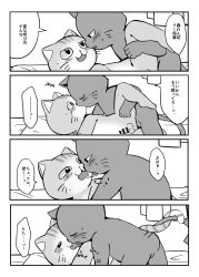 anthro balls blush bodily_fluids comic domestic_cat doujinshi duo erection felid feline felis french_kissing genitals greyscale hi_res japanese_text kissing kuehiko_roshihara male male/male mammal monochrome penis saliva saliva_string sideways tapio_chatarozawa text ueno_ebi_sen working_buddies!