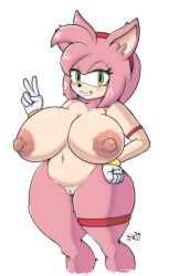 amy_rose anthro areola areolae ass bbw big_ass big_breasts breasts chubby chubby_female curvaceous curvy curvy_female curvy_figure curvy_hips diadem female fur furry furry_breasts furry_ears furry_only gloves green_eyes hedgehog huge_ass huge_breasts huge_butt large_ass large_balls large_breasts nipples pink_fur pink_hair pink_nipples sharm_zhoma short_hair sonic_(series) sonic_the_hedgehog_(series) thick thick_ass thick_thighs vagina white_gloves