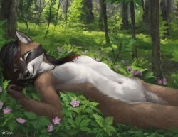 anthro difetra female flowers forest lying nature nude raccoon tagme