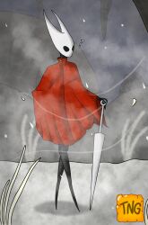 1girls anthro arthropod black_body breeze bug cavern cloak cloak_only dress female female_only hollow_knight hornet_(hollow_knight) hybrid insects nail_(weapon) poncho red_clothing skirt snow solo standing the_nameless_guy waiting white_head wind