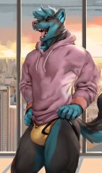 anthro black_body black_fur blue_body blue_fur bulge canid canine canis closed_eyes clothed clothing domestic_dog fur hi_res hoodie jockstrap juiceps male male_only mammal multicolored_body multicolored_fur open_mouth solo tail topwear two_tone_body two_tone_fur underwear