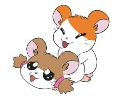 animated brown_body brown_fur cricetid duo female female_penetrated feral feral_on_feral feral_penetrated feral_penetrating feral_penetrating_feral from_behind_position fur hamster hamtaro hamtaro_(series) male male/female male_penetrating male_penetrating_female mammal mincheeto orange_body orange_fur penetration rodent sex simple_background sparkle_(hamtaro) white_background white_body white_fur