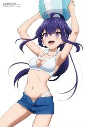 beach_ball bikini bikini_bottom bikini_top halter_top long_hair nanao_hibiya non-nude official_art pinup ponytail purple_eyes purple_hair reign_of_the_seven_spellblades scar short_shorts tagme