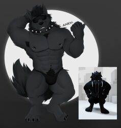 1boy absurd_res acario_(artist) anthro bara bulge canid canine canis collar hi_res male mammal muscular pecs reference_image roblox roblox_avatar robloxian solo solo_focus spiked_collar spikes tagme wolf