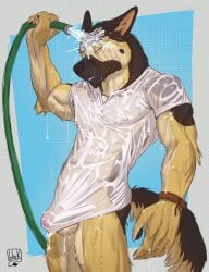 anthro bottomless canid canine canis clothed clothing domestic_dog foreskin german_shepherd herding_dog hi_res lion21 male mammal muscular muscular_male pastoral_dog shirt solo topwear translucent translucent_clothing uncut water wet wet_clothing wet_shirt wet_topwear