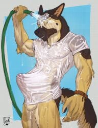 anthro big_penis bottomless canid canine canis clothed clothing domestic_dog erection erection_under_clothing foreskin genitals german_shepherd herding_dog hi_res lion21 male mammal muscular muscular_male pastoral_dog penis shirt solo topwear translucent translucent_clothing uncut water wet wet_clothing wet_shirt wet_topwear