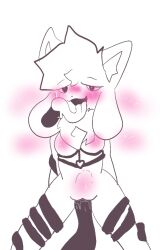 blush crystal_(kittydogcrystal) doodle furry furry_only harness hybrid kittydog_(species) kittydogcrystal long_tongue