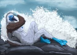 absurd_res anthro avian beak bird birdtember blue-footed_booby booby_(bird) breasts cloud feathers female hi_res membrane_(anatomy) nude rock sea sitting sky solo speedpaint sulid water wave webbed_feet yenocwolf