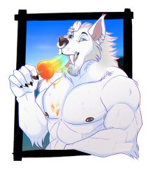 abs anthro barbell_piercing big_fangs blue_eyes blue_sclera brown_nipples canid cheek_tuft ear_piercing ear_ring facial_piercing facial_tuft fur head_tuft lip_piercing lip_ring male mammal multiple_piercings muscular muscular_anthro muscular_male narrowed_eyes neck_tuft ninetht nipple_barbell nipple_piercing nipples nose_piercing nose_ring notched_ear nude pecs penis_popsicle piercing popsicle_in_mouth popsicle_melting ring_piercing septum_piercing septum_ring simple_background solo tuft white_body white_fur