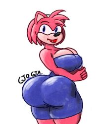 amy_rose big_ass big_breasts big_butt female female_only fur furry gtogta_(artist) smile smiling sonic_(series)