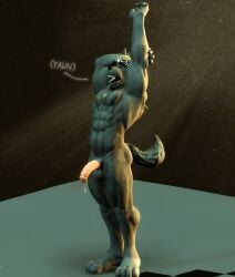 anthro blonde_hair canid canine canis erection genitals hair half-erect hi_res male male/male mammal morning_stretch morning_wood nude pecs penis rexwolf solo tired wolf