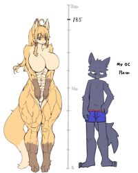 anthro bottomwear breasts canid canine canis clothing duo female fox larger_female looking_at_another male mammal miyanokoko muscular muscular_female nude shorts size_difference smaller_male thick_thighs wolf