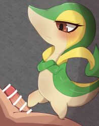 ambiguous_gender anthro bar_censor biped brown_eyes censor_bar censored crossed_arms duo erection eyelashes foot_fetish foot_on_penis foot_play generation_5_pokemon genitals green_body hi_res himimi human male mammal nintendo penis pokemon pokemon_(species) semi-anthro snivy tan_body yellow_body