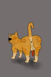 anus balls before_sex big_butt dreamworks feral gay horny_male male orange_cat presenting puss puss_in_boots_(dreamworks) small_penis