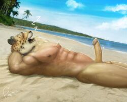 2023 abs animal_head anthro balls beach bodily_fluids closed_eyes cum felid for_a_head genital_fluids genitals hi_res jaguar king_(tekken) lying male male_only mammal muscular muscular_male nipples nude on_back open_mouth outside pantherine pecs penis rov sand seaside sleeping solo tekken water