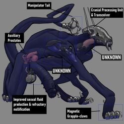 absurd_res all_fours anthro balls big_penis blue_body blue_skin canid canine claws crouching digitigrade genitals handpaw hi_res hindpaw internal male mammal monster organs paws penis prostate solo spiked_penis spikes spikes_(anatomy) tail thecore34 toe_claws