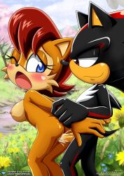 sally acorn from sega by bbmbbf