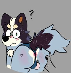 ass balls bluey_(bluey) bluey_(series) bluey_(show) bob_heeler furry tail