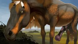 2023 animal_genitalia animal_penis balls brown_body detailed_background equid equine equine_genitalia equine_penis erection feathers feral genitals hi_res horse male male_only mammal mottled mottled_genitalia mottled_penis noz_orlok outside penis stygimoloch_(artist)