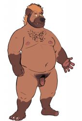 2022 4_toes 5_fingers anthro black_nose brown_body brown_fur burrserk chubby_anthro chubby_male claws feet fingers fur gambi genitals hair hi_res hindpaw humanoid_hands hyena male mammal navel nipples nude orange_hair paws penis smile solo spotted_hyena standing teeth toe_claws toes