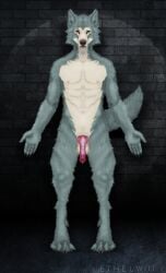 aethelwulf animal_genitalia animal_penis anthro aroused beastars canid canine canine_genitalia canine_penis canis digitigrade eye_scar facial_scar fur genitals grey_body grey_fur hi_res legoshi_(beastars) male mammal penis presenting scar solo solo_focus tan_body tan_fur wolf