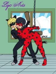 adrien agreste from miraculous ladybug