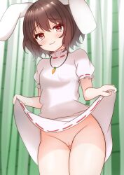 animal_ears ass_visible_through_thighs bamboo bamboo_forest blush brown_hair carrot_necklace closed_mouth clothes_lift colored_eyelashes commentary cowboy_shot dress dress_lift female floppy_ears forest groin highres inaba_tewi jewelry kasoka_soka looking_at_viewer nature necklace no_panties pink_dress puffy_short_sleeves puffy_sleeves pussy rabbit_ears rabbit_girl red_eyes ribbon-trimmed_dress short_hair short_sleeves skirt skirt_lift smile solo standing tewi_inaba touhou uncensored