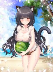 beach big_breasts breast breasts female fur heterochromia light-skinned light-skinned_female light_body light_skin long_hair watermelon woman women