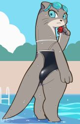 1girls 2022 ass big_ass cyan_eyes female female_only furry furry_only grey_body kemokin_mania long_tail ms._ota_(kemokin_mania) otter signature swimming_goggles swimming_pool swimsuit tail wet wet_body whiskers whistle