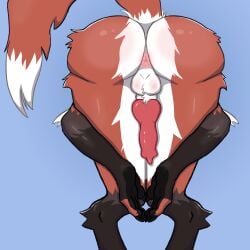 absurd_res anthro anus ass balls canid canine downbadart genitals hi_res male mammal maned_wolf praise_da_booty_(meme) solo tachyon