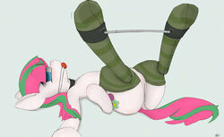 anus ball_gag blossomforth_(mlp) blue_eyes bondage bondage bound equine friendship_is_magic gag horse looking_at_viewer majikplant420 my_little_pony pussy socks solo spread_legs spreading two_tone_hair