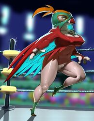 avian bird breasts claws feathers female hawlucha nintendo pokemon video_games wings yellow_eyes