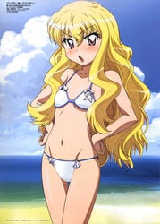 beach bikini blonde_hair blush fujii_masahiro long_hair louise_francoise_le_blanc_de_la_valliere mizugi photoshop swimsuit zero_no_tsukaima