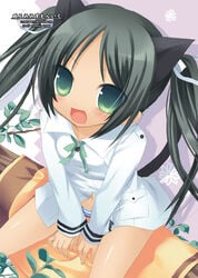 black_hair blush clothing cute_fang flat_chest francesca_lucchini green_eyes kemonomimi navel panties sazaki_ichiri shimapan sitting strike_witches striped striped_panties tail tied_hair twintails underwear