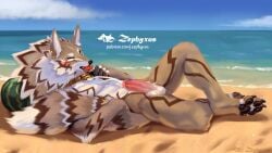 1boy 2021 beach biped black_pawpads brown_body brown_fur candy canid canine canis claws closed_eyes dessert digital_media_(artwork) digitigrade dipstick_tail ear_piercing finger_claws food fur jackal lifewonders lollipop lying male male_only mammal markings nude_anthro nude_male on_back outside pawpads paws piercing seaside seth_(tokyo_afterschool_summoners) solo tail tail_markings tan_body tan_fur toe_claws tokyo_afterschool_summoners white_body white_fur zephyxus