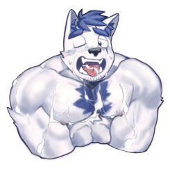 1boy 1male absurdres animal_ear_fluff animal_ears bara blue_doggo_(ttn) blue_fur blue_hair bukkake chest_tuft cropped_shirt cum cum_in_mouth cum_on_body cum_on_male cum_on_pectorals dog_boy dog_ears furry furry_male gay gay_male goatee_stubble half-closed_eyes highres huge_eyebrows implied_yaoi large_pectorals male_focus muscular muscular_male open_mouth original pectoral_squeeze pectorals short_hair solo sweat thick_eyebrows tongue tongue_out ttn_(239_239) two-tone_fur v_arms white_fur