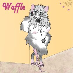 anthro female food gynomorph hi_res humanoid intersex mammal murid murine omegia rat rodent slightly_chubby solo waffle waffle_the_rat