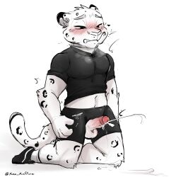 absurd_res anthro blush clothing ejaculation erection felid hands-free hi_res male mammal max_muffin01 pantherine snow_leopard solo