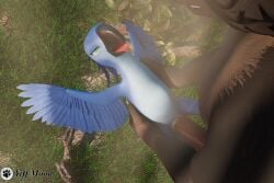 3d_(artwork) anthro anthro_on_feral asd5 avian beak big_penis bird black_body black_fur blue_body blue_feathers blue_fur blue_macaw blue_sky_studios bodily_fluids canid canine canis claws custos_lunam digital_media_(artwork) duo erection feathered_wings feathers female female_penetrated feral fur genital_fluids genitals gorn_(yiff_moon) green_eyes hair hi_res huge_cock humanoid_genitalia humanoid_penis jewel_(rio) macaw male male/female male_penetrating male_penetrating_female mammal neotropical_parrot nude open_mouth parrot penetration penile penile_penetration penis penis_in_pussy pussy rio_(series) sex size_difference smile spix's_macaw tongue tongue_out true_parrot vaginal_penetration wings wolf yiff_moon zoophilia